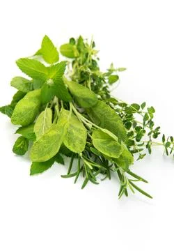Fresh green culinary herbs creating a healthy food concept Stock Photos
