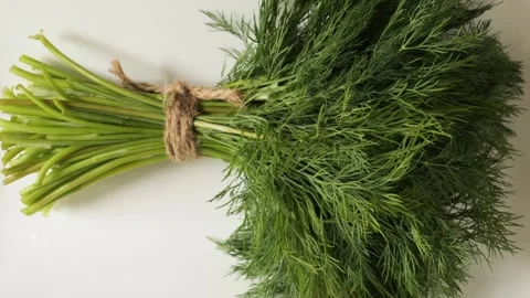Fresh green dill bunch isolated on a white background Stock Footage 342437207