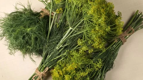 Fresh green dill bunches rotating slowly Stock Footage 344915210