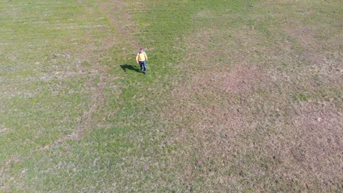 Fresh green environment in springtime. Aerial view. Stock Footage 105674041