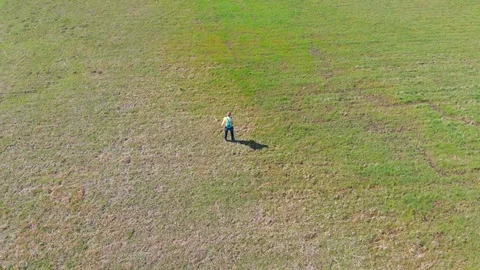 Fresh green environment in springtime. Aerial view. Stock Footage 105674043