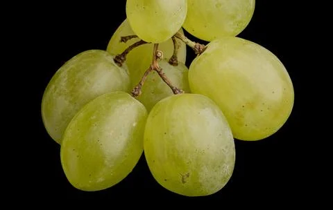 Fresh green grape bunch close up Stock Photos