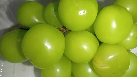 Fresh Green Grapes Bunch Isolated on White Background, Close Up Stock Footage 344424701