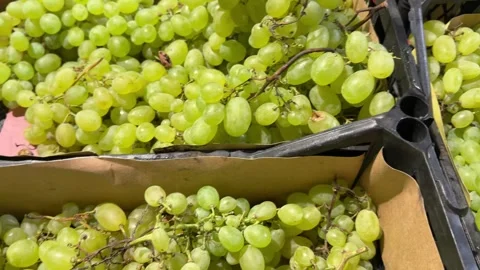Fresh Green Grapes in Crates Stock Footage 345932050