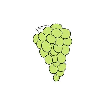 Fresh green grapes in vine simple drawing Stock Illustration