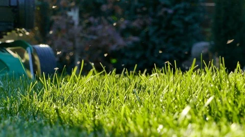 Fresh green grass cutting with push lawn mower in beautiful sunlight 4k Stock Footage 102595799