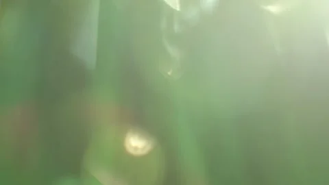 Fresh green grass with dew drops clips, dew drops on green grass footage, rain Video stock 143601000