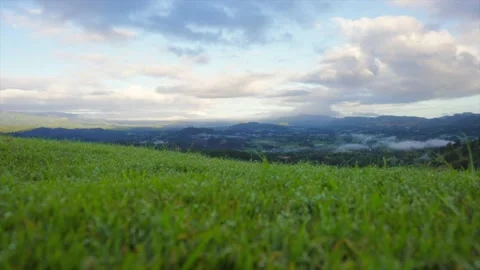 Fresh green grass with dew drops and passing by white clouds in blue sky 스톡 동영상 208818052