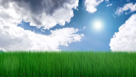 Fresh green grass Stock Footage 88628818