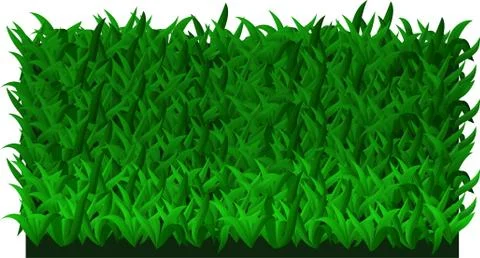Fresh green grass Stock Illustration