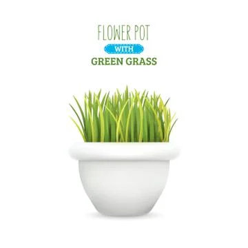 Fresh green grass in a pot. Element of home decor. The symbol of growth and Stock Illustration