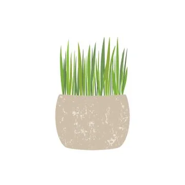 Fresh green grass in a rectangular and round pot. Element of home decor. The Stock Illustration