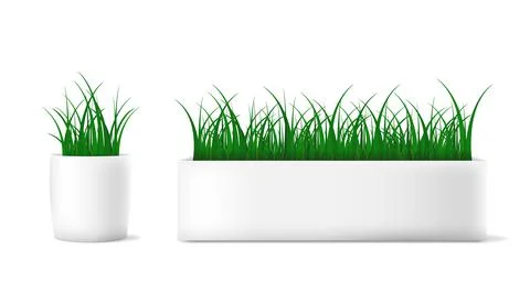 Fresh green grass in a rectangular and round pot. Vector realistic illustrati Illustrazione stock