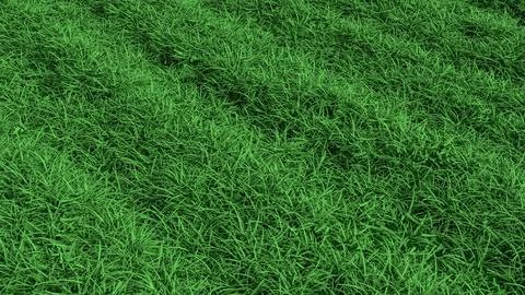 Fresh Green Grass Texture Background for Natural Design 3d render. Stock Illustration