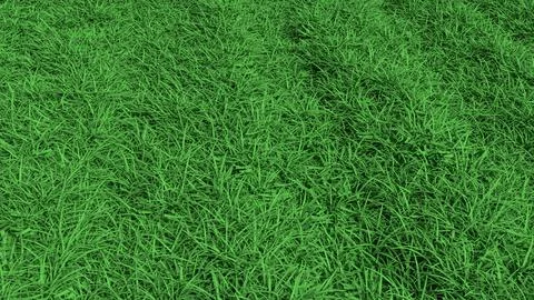 Fresh Green Grass Texture Background for Natural Design 3d render. Stock Illustration