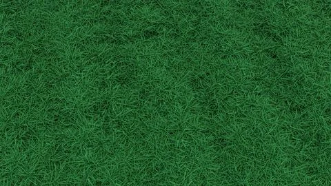 Fresh Green Grass Texture For Natural Background 3d render. Stock Illustration