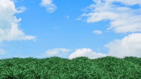 Fresh Green Grass Texture For Natural Background 3d render. Stock Photos