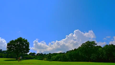 Fresh Green Grass, Trees, Light, Blue Sky, and Clouds Stock-Footage 330680169