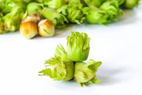 Fresh green hazelnuts Foto stock