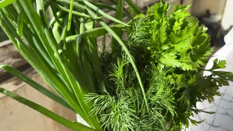 Fresh green herbs bundle with green onions, dill and parsley Vídeo Stock 344782639