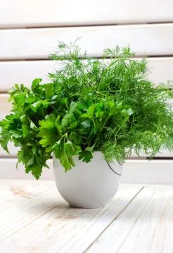 Fresh green herbs on white table. Parsley and dill 写真素材