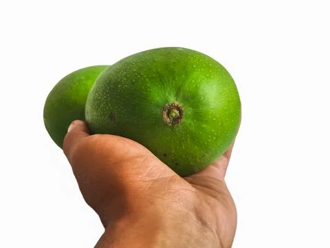 Fresh green honey mango isolate on white background Stock Photos