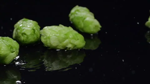 Fresh green hops falling. Close up. Stock Footage 252056532