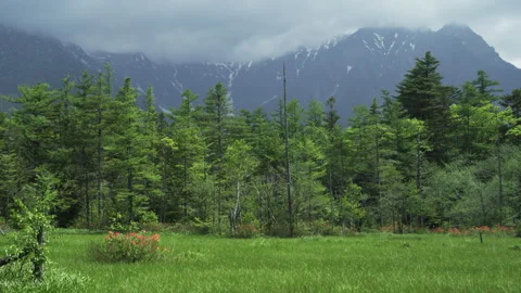 Fresh Green Kamikochi Vidéo 332826257