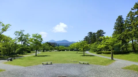 Fresh green landscape of the sparse woods square in tsuruoka park Stock Footage 327993515