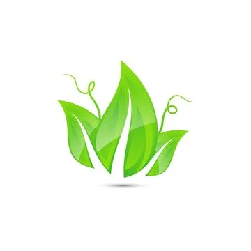 Fresh, green leaf nature vector icon that shiny Stock-Illustration