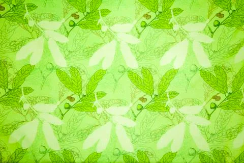 Fresh green leaf pattern 스톡 사진