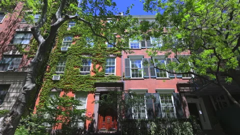 Fresh green leaf trees grow in Springtime at the West Village in New York City 動画素材 241360538
