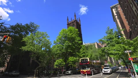 Fresh green leaf trees grow in Springtime at the West Village in New York City Stock Footage 241364106