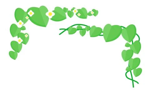 Fresh Green Leaf Vine Border For Eco Template And Nature Poster Background Stock Illustration