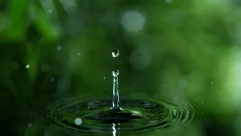 Fresh green leaf with water drop, relaxation concept Stock Footage 136599342