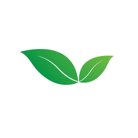 A fresh green leaf on white background, natural leaf icon, logo, symbol temp Stock Illustration