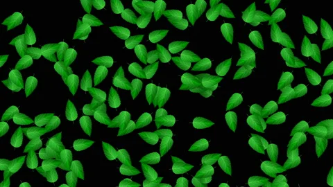 Fresh green leaves falling from spring background. Video stock 102366018