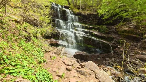 Fresh green leaves frame the rushing stream. Tupavica Waterfall, Serbia Vídeos de archivo 335533041
