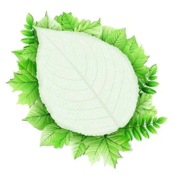 Fresh green leaves vector border. EPS 10 Stock Illustration