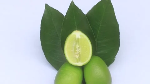 Fresh green lemon slice pieces with leaf Stock Footage 195986842