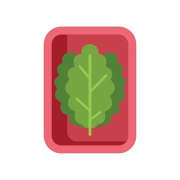 Fresh green lettuce leaf resting on pink tray, healthy eating concept Stock Illustration