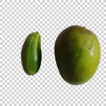 Fresh green mango and small green chili pepper isolated on a plain background Stock Photos