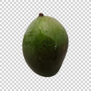 A fresh green mango fruit isolated on a clean transparent background Фото