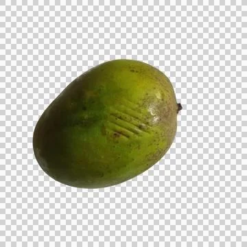 A fresh green mango fruit isolated on a clean transparent background Stock Photos