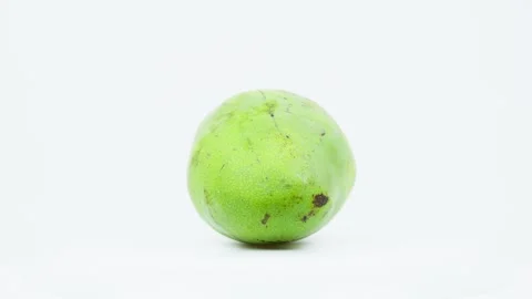 Fresh Green Mango Just Picked from the Tree Stock Footage 325345428