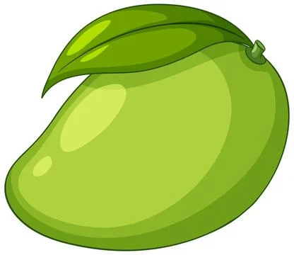 Fresh Green Mango Vector Illustration with Single Leaf on White Background Stock Illustration