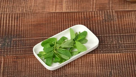 Fresh green mint Stock Footage 183560425