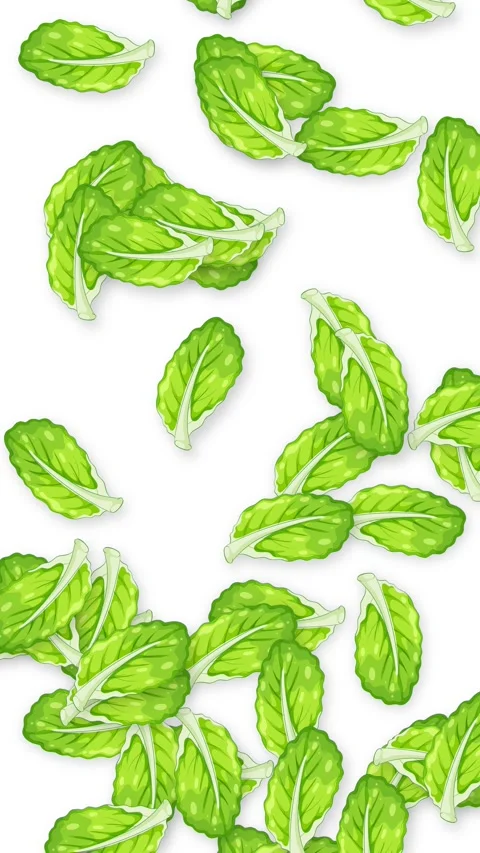 Fresh Green Mint Leaves Falling Down Against a White Background Stock Footage 342211625
