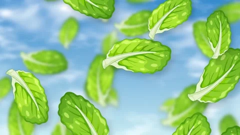 Fresh Green Mint Leaves Falling Against a Blue Sky Background Stock Footage 344845927