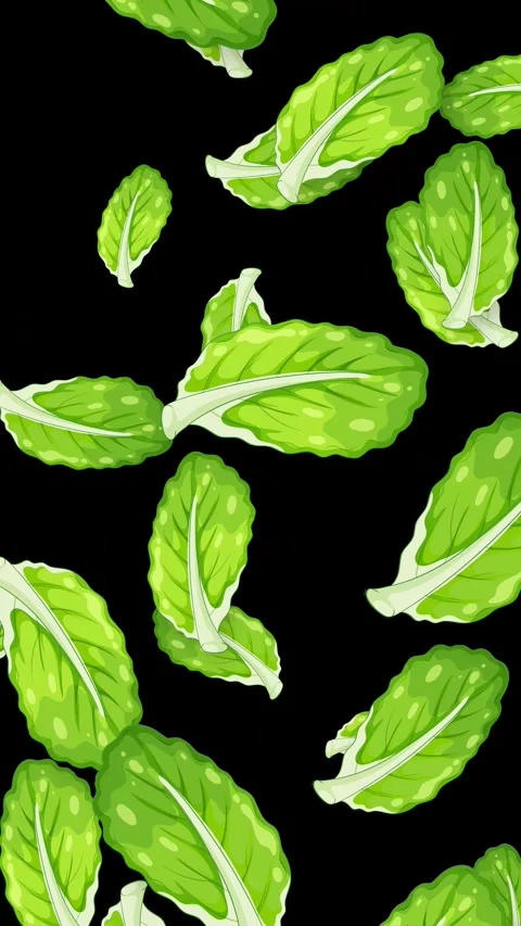 Fresh Green Mint Leaves Falling Against a Solid Black Background Stock Footage 345707795